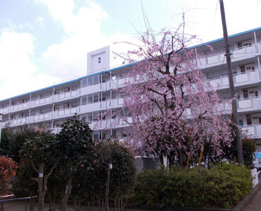 外観写真8