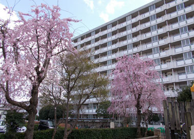 外観写真9