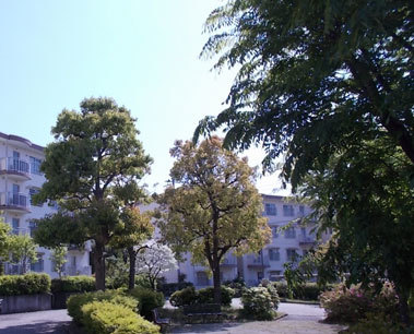 外観写真24