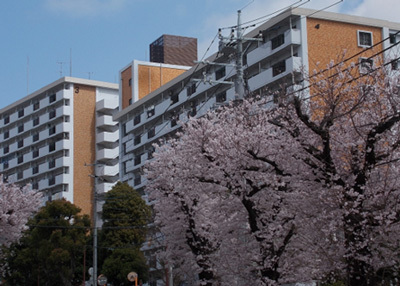 外観写真8